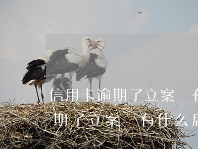 信用卡逾期了立案會有什么后果-信用卡逾期了立案會有什么后果嘛