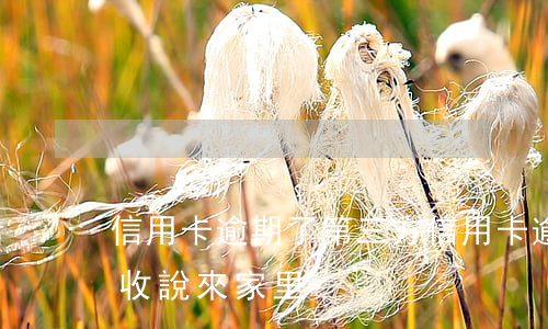 信用卡逾期了第三方(信用卡逾期了第三方催收說來家里)