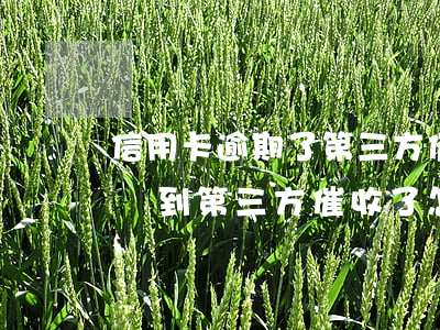 信用卡逾期了第三方催收要立案 欠信用卡已經到第三方催收了怎么辦?