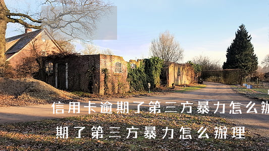信用卡逾期了第三方暴力怎么辦-信用卡逾期了第三方暴力怎么辦理