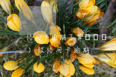 信用卡逾期了算詐騙嗎-因被騙導(dǎo)致信用卡逾期