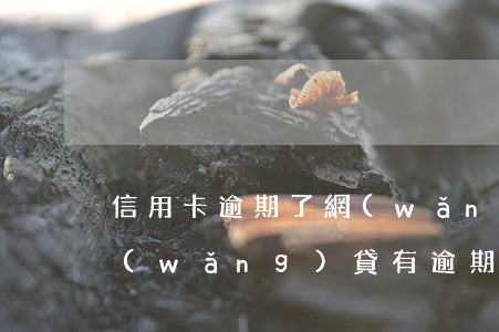 信用卡逾期了網(wǎng)貸能申請嗎(網(wǎng)貸有逾期信用卡可以辦理嗎)