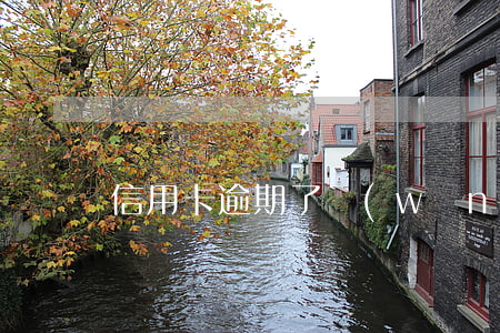 信用卡逾期了網(wǎng)貸能過嗎