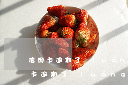信用卡逾期了網(wǎng)貸能過嗎（信用卡逾期了網(wǎng)貸）