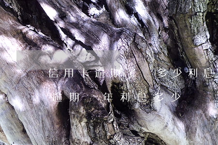 信用卡逾期了繳多少利息》(信用卡5000逾期兩年利息多少)