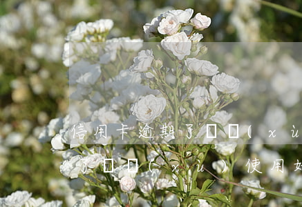 信用卡逾期了繼續(xù)使用 信用卡逾期了繼續(xù)使用好嗎