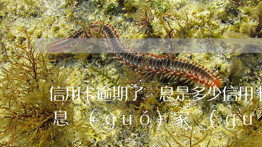 信用卡逾期了罰息是多少(信用卡逾期全額罰息國(guó)家規(guī)定)