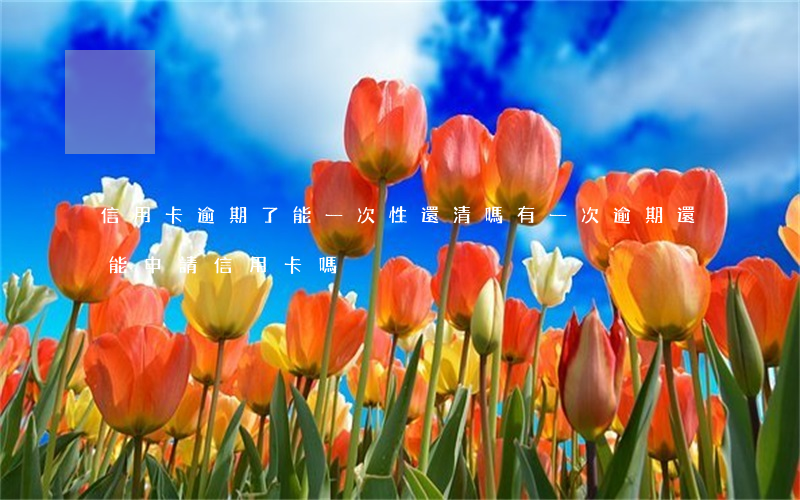 信用卡逾期了能一次性還清嗎(有一次逾期還能申請信用卡嗎)