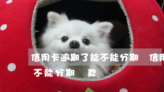 信用卡逾期了能不能分期還(信用卡逾期了能不能分期還款)