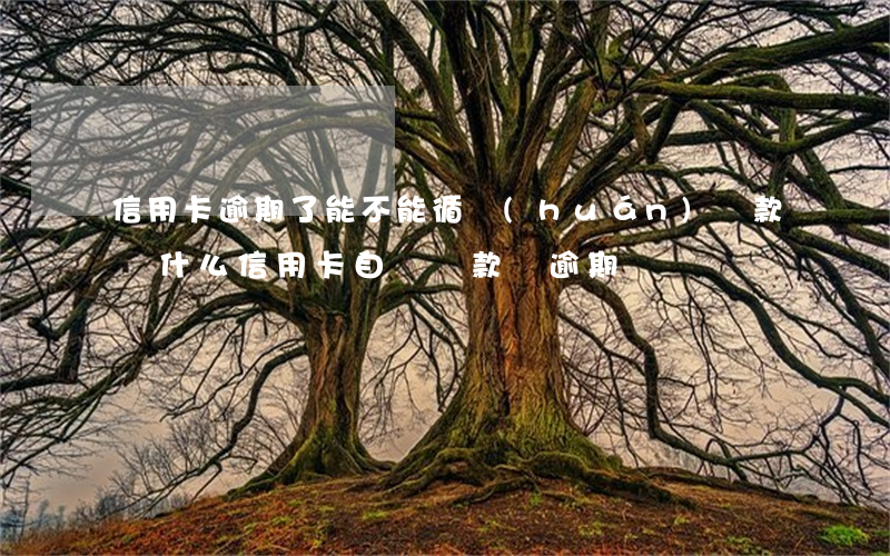 信用卡逾期了能不能循環(huán)還款 為什么信用卡自動還款會逾期