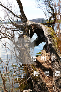 信用卡逾期了能不能申請(qǐng)分期慢慢還-信用卡逾期了能不能申請(qǐng)分期慢慢還款