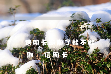 信用卡逾期了能不能辦優(yōu)盾(有逾期辦信用卡)