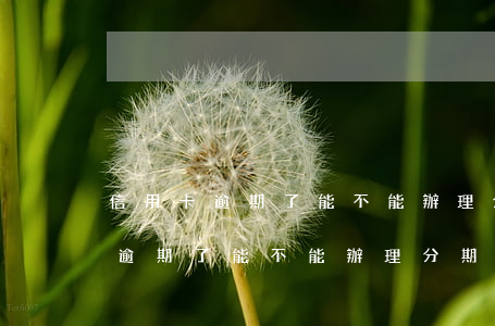信用卡逾期了能不能辦理分期還款-信用卡逾期了能不能辦理分期還款業(yè)務(wù)