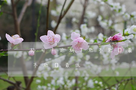 信用卡逾期了能不能還最低(信用卡逾期了能不能還最低)