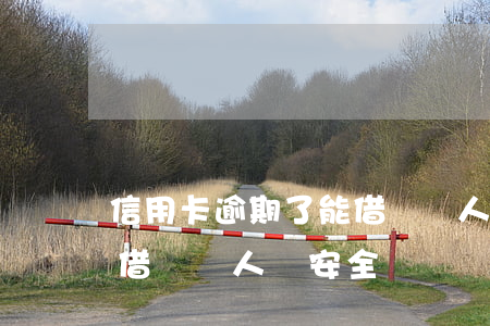 信用卡逾期了能借給別人嗎(信用卡逾期了能借給別人嗎安全嗎)