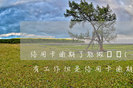 信用卡逾期了能做會計(jì)工作嗎 一直有工作但是信用卡逾期一年一直沒還錢
