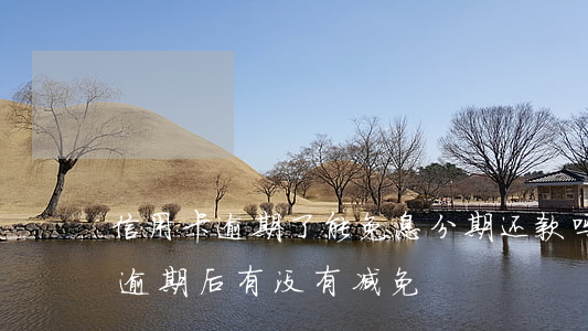 信用卡逾期了能免息分期还款吗 来分期贷款逾期后有没有减免