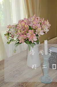 信用卡逾期了能出國打工嗎(欠信用卡能出國打工嗎)