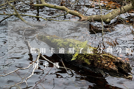 信用卡逾期了能分期(分期樂逾期可以申請信用卡嗎)