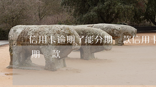 信用卡逾期了能分期還款(信用卡逾期了能分期還款)