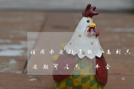 信用卡逾期了能協商到只還本金嗎 欠信用卡逾期可以只還本金嗎