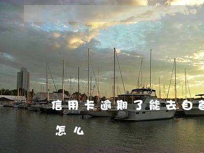 信用卡逾期了能去自首嗎(要是信用卡逾期了怎么辦)