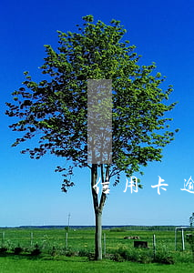 信用卡逾期了能找工作嗎