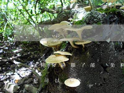 信用卡逾期了能減免利息嗎(欠銀行信用卡利息可以減免嗎)