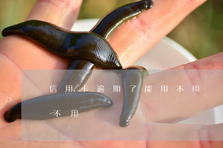 信用卡逾期了能用不用還（信用卡逾期了能用不用還）
