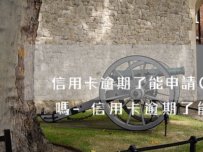 信用卡逾期了能申請(qǐng)分期還款嗎-信用卡逾期了能申請(qǐng)分期還款嗎