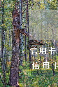 信用卡逾期了能申請延期嗎(逾期能不能申請信用卡)