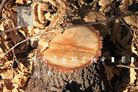 信用卡逾期了能申請省唄嗎-省唄不能還信用卡了