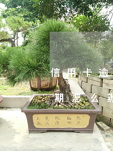 信用卡逾期了能補(bǔ)救嗎(信信用卡逾期怎么辦)