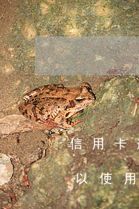 信用卡逾期了能解凍微信嗎(信用逾期微信可以使用嗎)