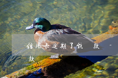 信用卡逾期了能貨款嗎-信用卡逾期了能貨款嗎