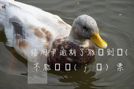 信用卡逾期了能買到機(jī)票嗎(逾期能不能買機(jī)票)
