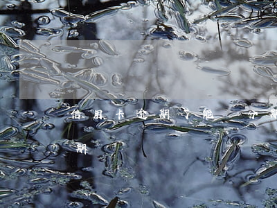信用卡逾期了能辦分期嗎(信用卡逾期能做分期嗎)