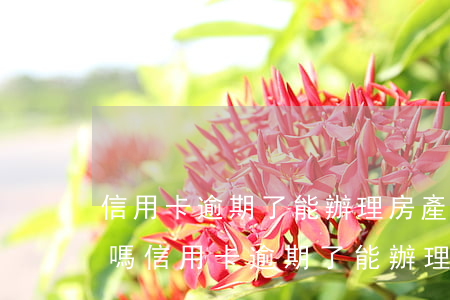 信用卡逾期了能辦理房產(chǎn)按揭嗎(信用卡逾期了能辦理房產(chǎn)按揭嗎貼吧)