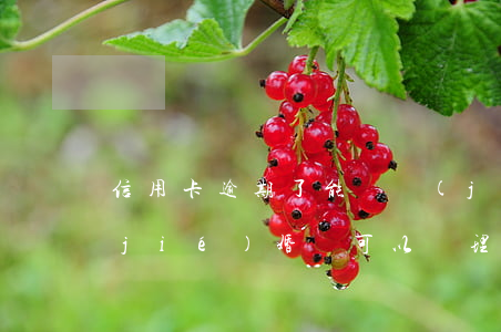信用卡逾期了能辦結(jié)婚證嗎(結(jié)婚證可以辦理信用卡嗎)