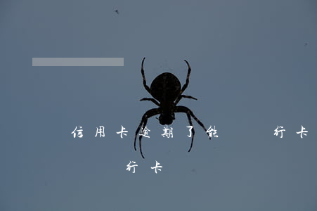 信用卡逾期了能辦銀行卡-信用卡逾期了能辦銀行卡嗎