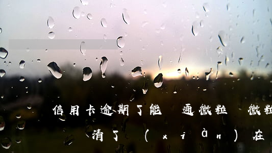 信用卡逾期了能開通微粒貸(微粒貸以前逾期過還清了,現(xiàn)在可以在申請(qǐng)開通么)