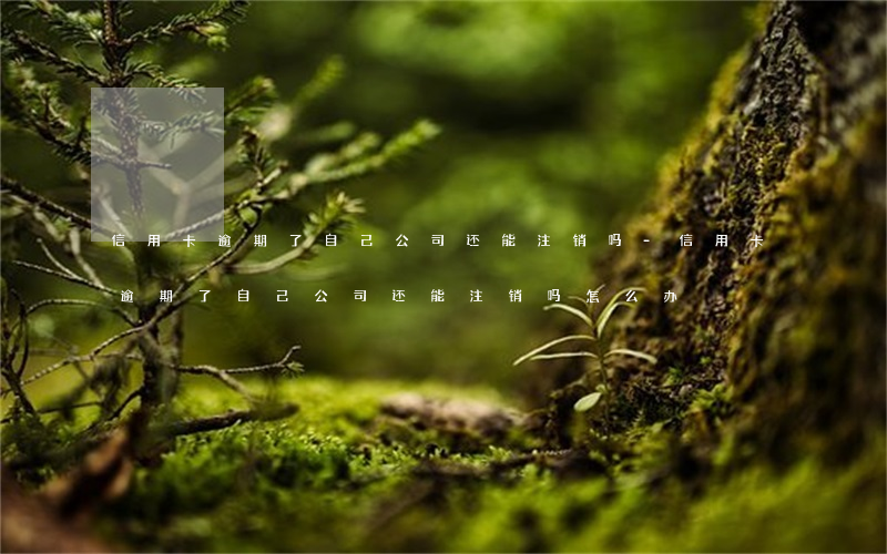 信用卡逾期了自己公司还能注销吗-信用卡逾期了自己公司还能注销吗怎么办