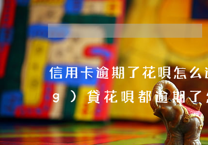 信用卡逾期了花唄怎么還(信用卡網(wǎng)貸花唄都逾期了怎么辦)