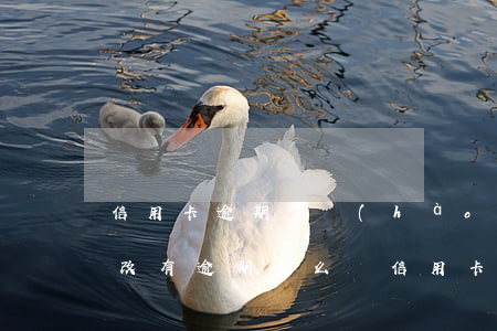 信用卡逾期了號(hào)碼不用了怎么修改 有逾期怎么辦信用卡