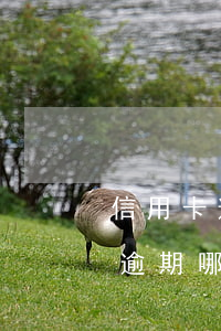 信用卡逾期了螞蟻花唄嗎(花唄逾期和信用卡逾期哪個(gè)比較嚴(yán)重)