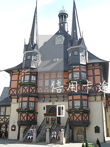 信用卡逾期了螞蟻莊園(信用卡逾期了螞蟻莊園)