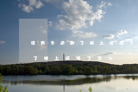 信用卡逾期了被上征信了怎么辦(信用卡逾期了被上征信了怎么辦)