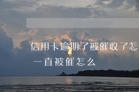 信用卡逾期了被催收了怎么辦(信用卡逾期了一直被催怎么辦)