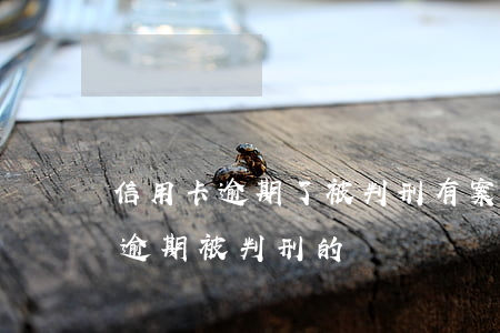 信用卡逾期了被判刑有案底嗎(有沒有信用卡逾期被判刑的)