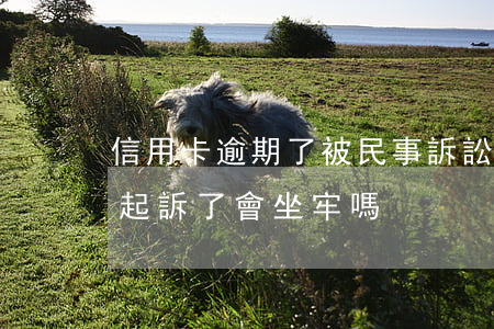 信用卡逾期了被民事訴訟后果(欠信用卡民事起訴了會坐牢嗎?)